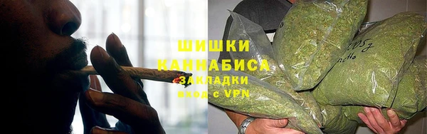сатива Абдулино