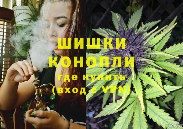 сатива Абдулино
