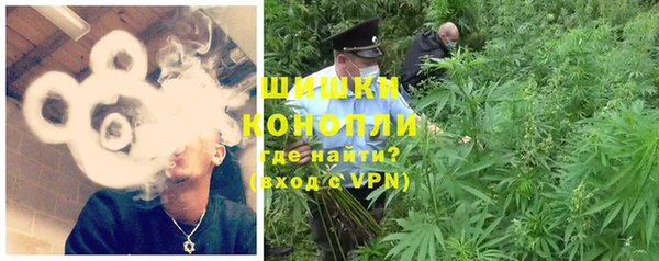 молекула духа Пролетарск
