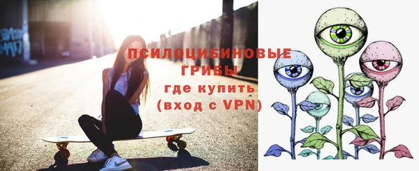 сатива Абдулино