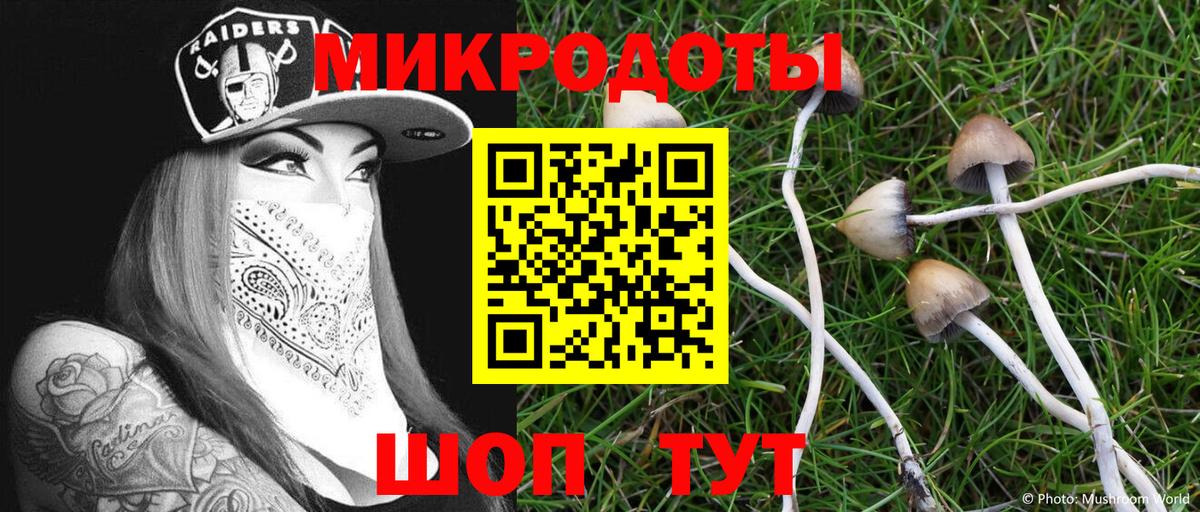 Галлюциногенные грибы Magic Shrooms Сертолово