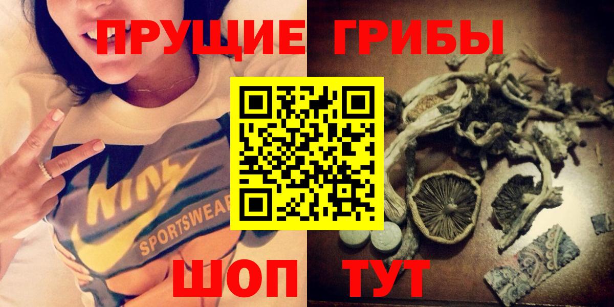 Псилоцибиновые грибы MAGIC MUSHROOMS  Псилоцибиновые грибы GOLDEN TEACHER  купить наркотик  Сертолово  Вход с VPN 